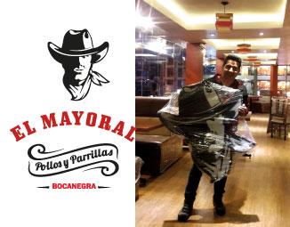 pollería el mayoral